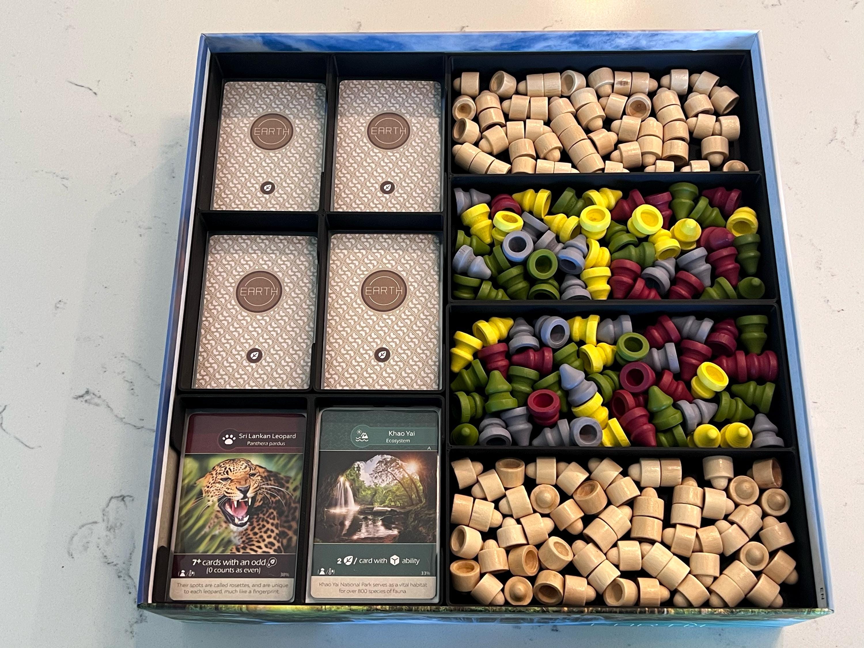 Earth and Abundance Expansion Game Box Insert